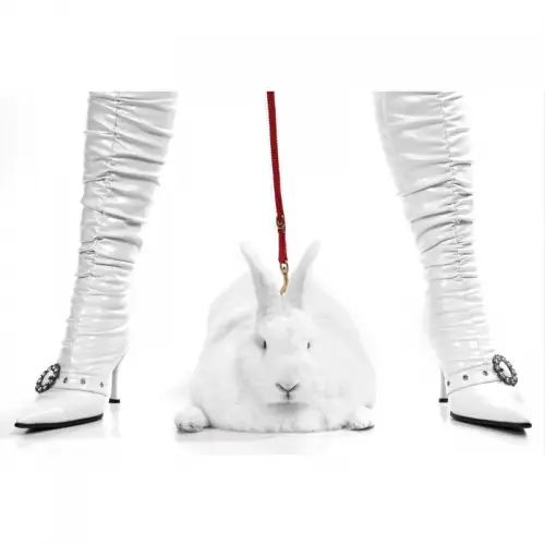 By Kohler  Pit Bull Bunny/White Boots 80x120x2cm (112065)